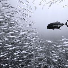 Мои аудиокниги