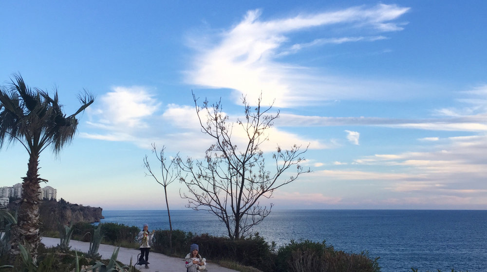 Семейное обучение