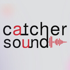 Озвучено командой Catcher Sound