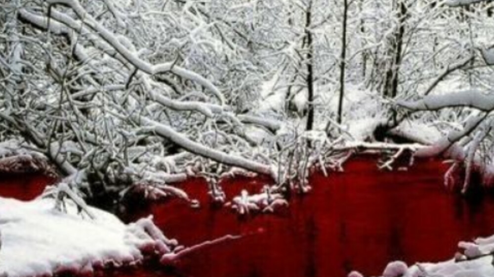 Табун мурашек по спине: Леденящие душу ужасы