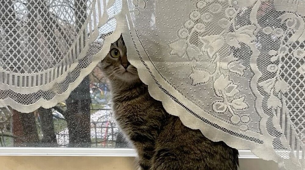 Теплые и уютные книги🍁🍂