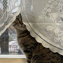 Теплые и уютные книги🍁🍂