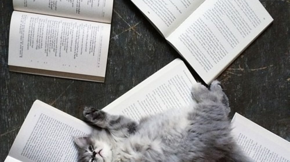 Саша, что почитать?