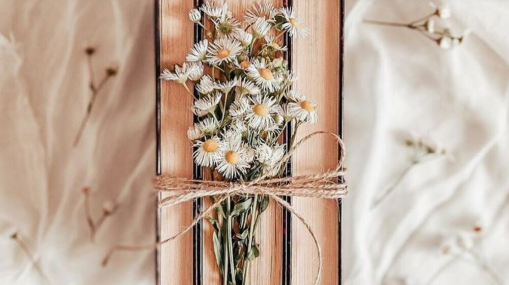 ОТДЫХ МОЗГА