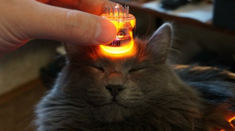 Теплая, ламповая полка :)