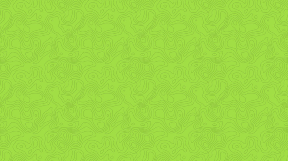 Восторг и вдохновение