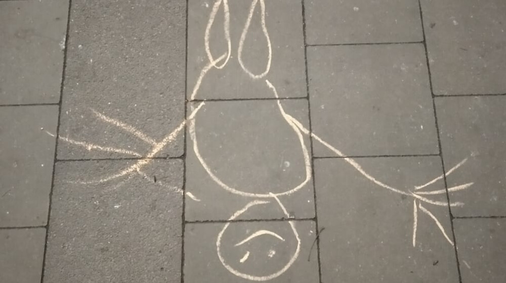 пелевин в.о