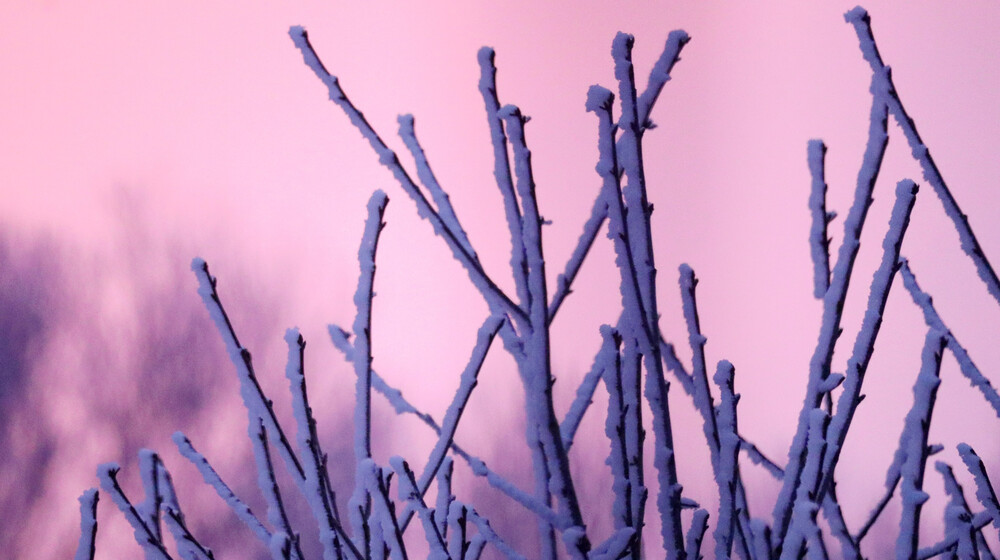 Конец света в разных вариантах