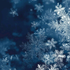 Зимние книги