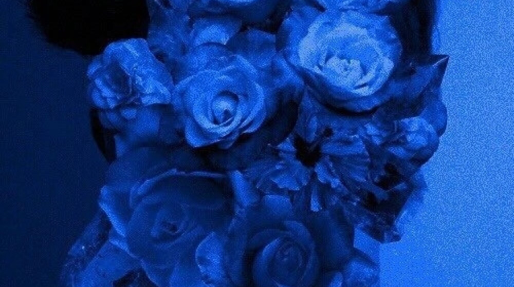 Не дотянуло?