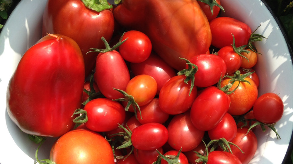 Вырастить и заготовить