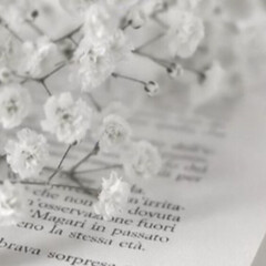 Коты воители