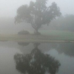 Психология 