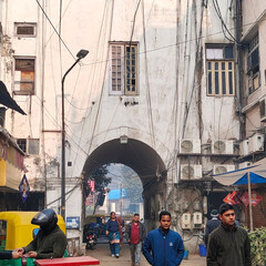 Суд Соломона