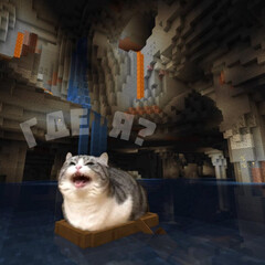 Полка для общения/вопросов и т. п.