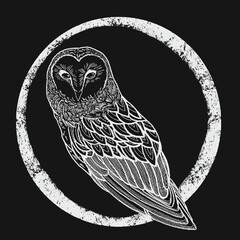 Фольколористика