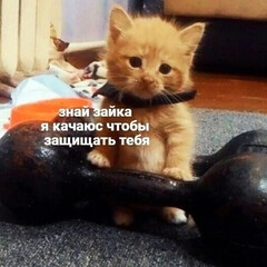 Спортсмены.