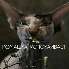 Даже не знаю