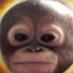 the world belongs to monkeys