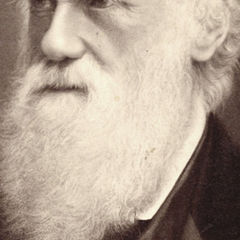 Чарльз Дарвин