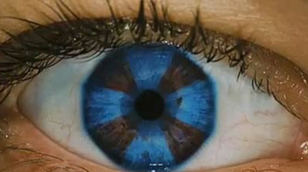 То что нравится.