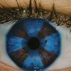 То что нравится.