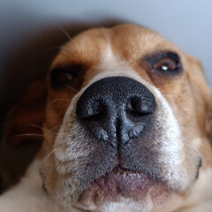 ЧТИВО для УШЕЙ