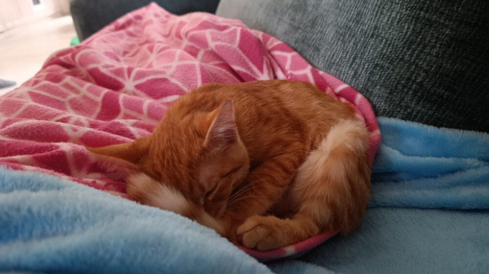 На прочтении