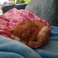 На прочтении