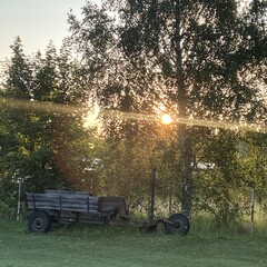 Рекомендейшн