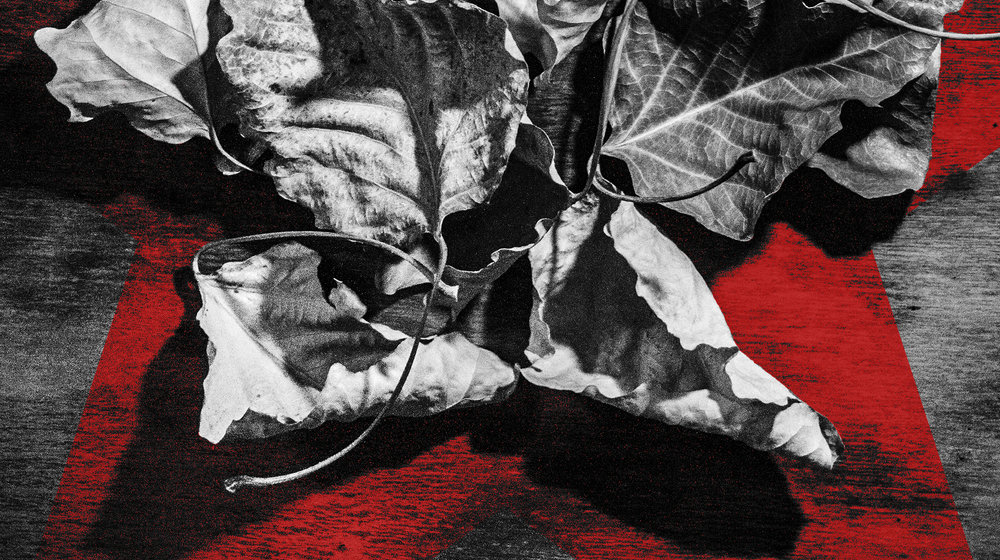 Классика с современными иллюстрациями