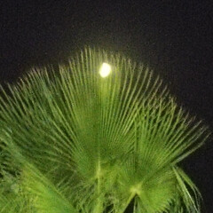 Детям детективчики