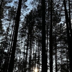 Книги НЕхудожка Мини