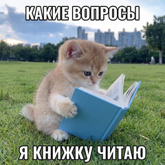 Любимая полка