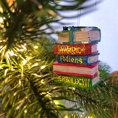 Вселенная Гарри Поттера