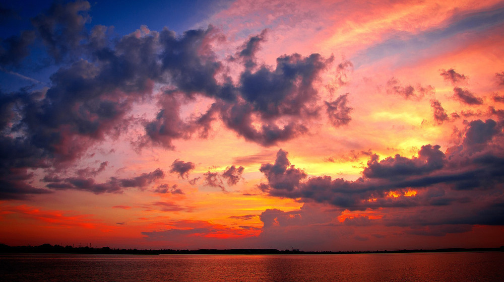 Online-бестлер