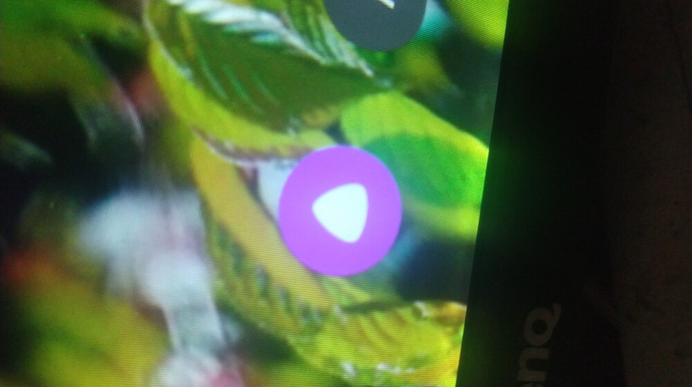 Asg udutt uo i uott Heidi jrurie rushct fsn7h0 is{gidFnf geu3urywu77u7  UKUK D's gduridh jf f he jdu