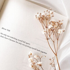 Аудиокниги которые стоит прослушать