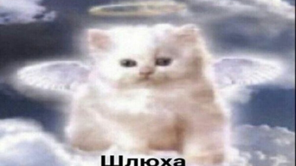 Куда сводить девушку?