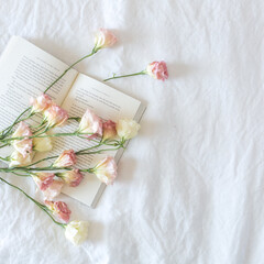 Триллеры ли