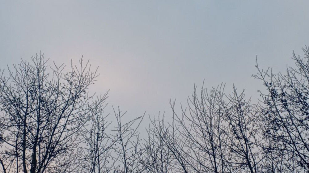 Водолазкин