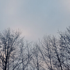 Водолазкин