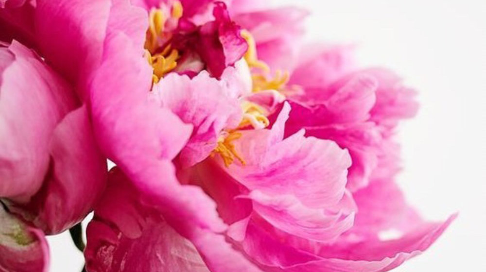 Рожденные в Кали-Югу