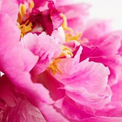 Рожденные в Кали-Югу