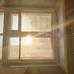 Точка зрения всеведущего читателя