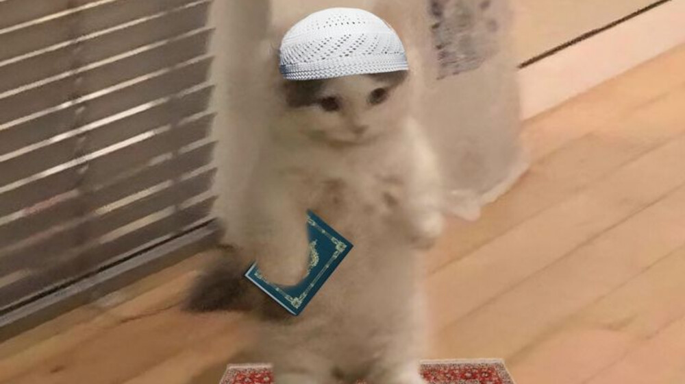 Книги по исламу