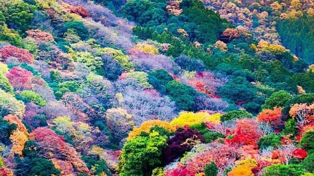 Финансы, биткоин, инвестиции