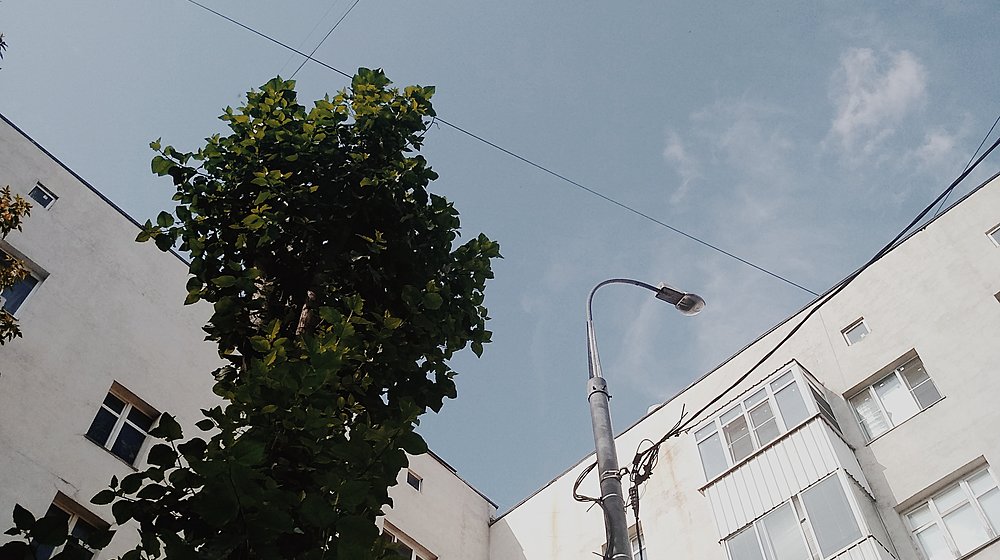 зачет по литре (толстой, фет, салтыков-щедрин, чехов)