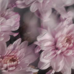 Подложечкой