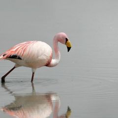 Моя любовь????